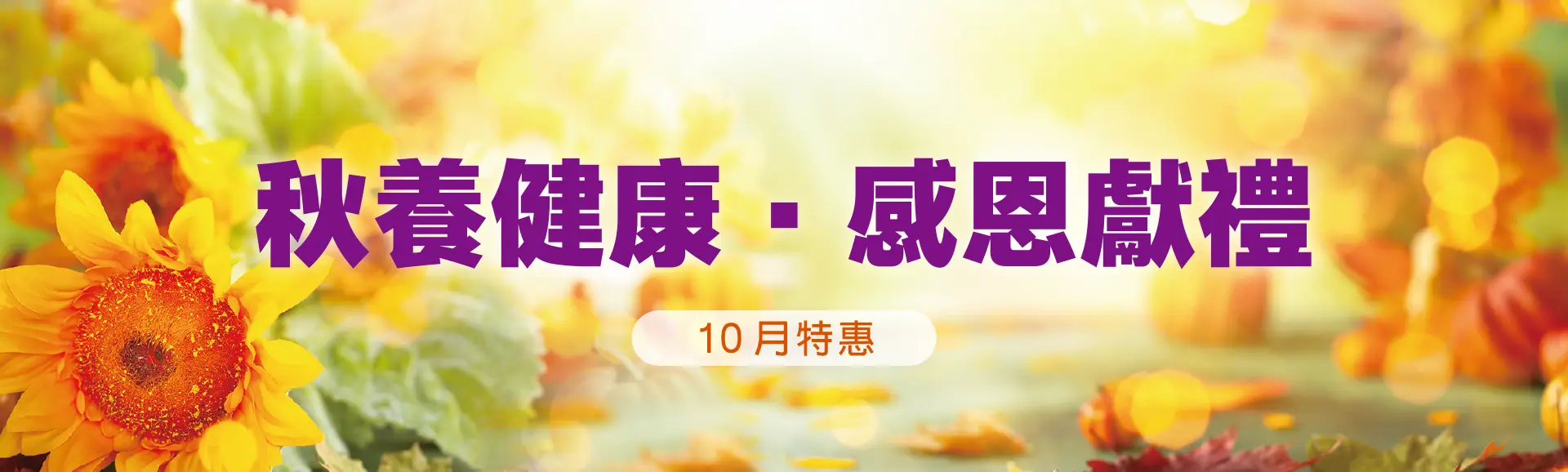 10月特惠