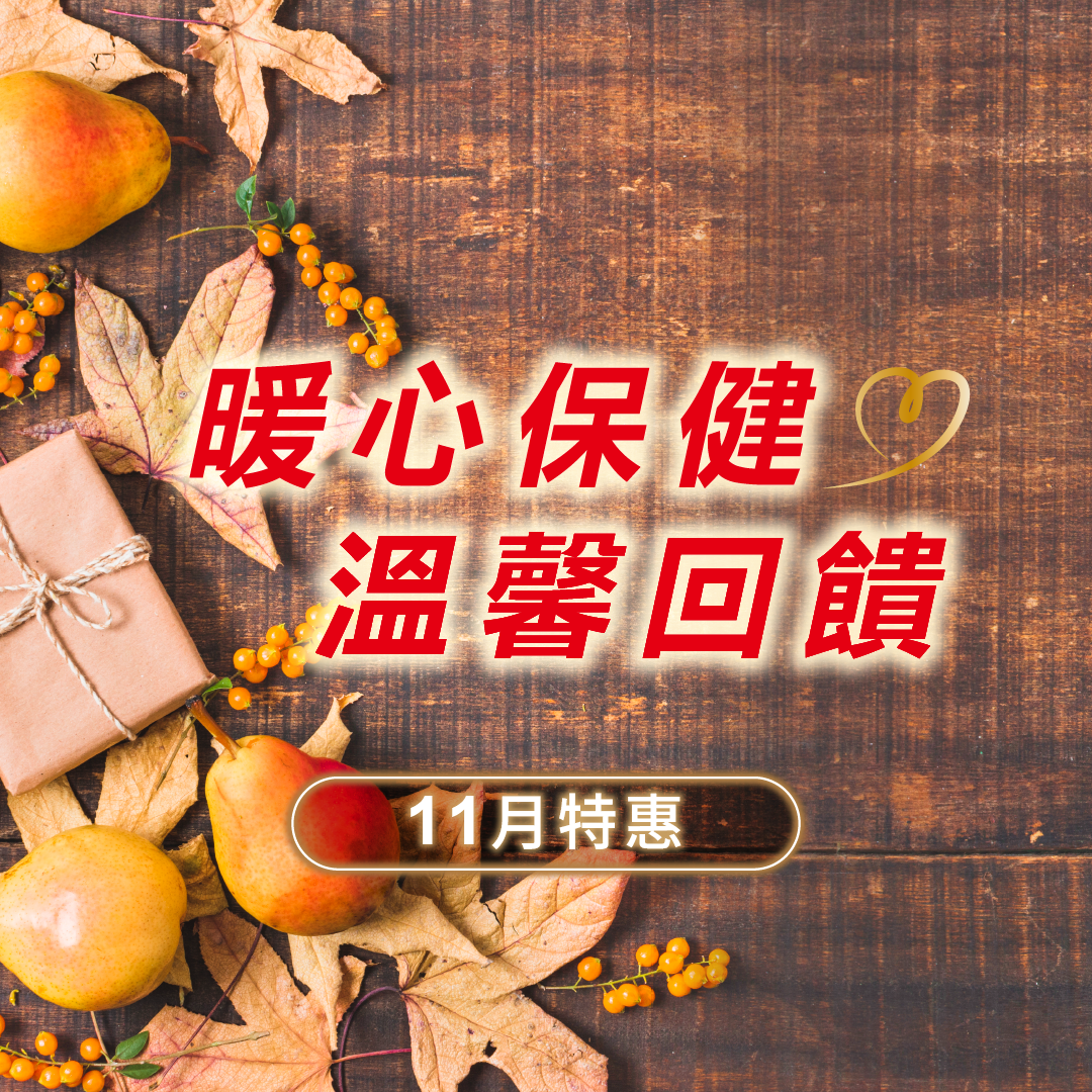 11月特惠